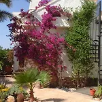 Atalants Yailja