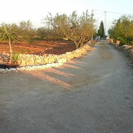 Atalants Yailja *