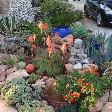 Atalants Yailja * Alcossebre